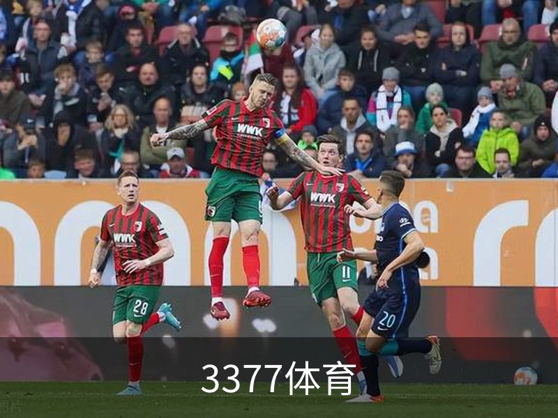 了解3377体育